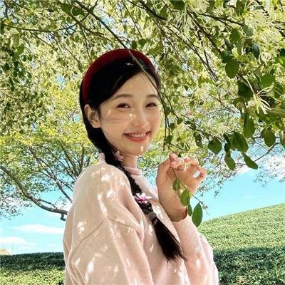克莱尔的膝盖海报